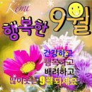 Florence + The Machine - Spectrum/Sam Smith - Stay With Me 이미지