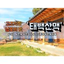 영신관광여행사 이미지