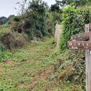 욕지모노레일(하부역사) 이미지