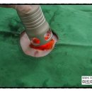 미드미동물병원 이미지