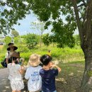 여름방학 교육프로그램 이미지