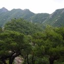 도반산약초