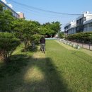 주식회사소나무유통 네이버블로그