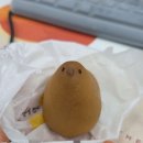 정다함 | [숭의동 맛집] 바삭바삭 정다함 돈까스 솔직 후기🍽️