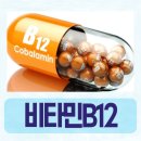 코바마 네이버블로그