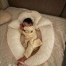 머리박사 | 아기 수면교육 시기 추천 오은영 박사 조언! 라비킷 옆잠베개 내돈내산 찐 후기