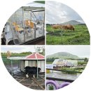 성읍리-28 | 제주레일바이크 소요시간 가격 할인 비오는날 제주도 동쪽 놀거리