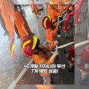 사바나동물병원몰 | 40개월 키자니아 부산 주말 후기🎡(오픈런으로 7개 체험 성공, 동선 꿀팁 총정리🙂)