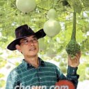 그린토피아 이미지