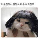 피치왕 이미지