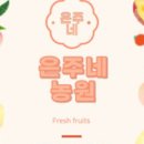 이종식농장 네이버블로그