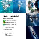 경남 창원 프리다이빙 원데이클래스 화이트프리다이빙 체험 후기