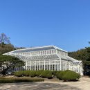 칠춘장 이미지