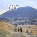 우도자동차정비 | 제주도 오름 추천 제주 용눈이오름 노을 동쪽 코스