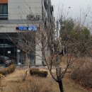 팍스바이시클 이미지