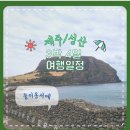 제주도 성산일출봉 3박4일 완벽한 여행일정 동선,경비 총정리(빌리카렌트부터 숙소,카페,맛집,비밀의숲)