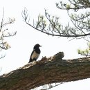 큰마을저수지 이미지