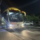 더우디자인 | 칸쿤 핑크라군 익킬세노떼 치첸잇사 후기 가격 쿠폰