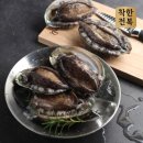 완도9호 이미지