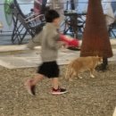 세븐일레븐천안청당광풍로점 | 천안 가성비 수영장 있는 디디글램핑장 추천⛺️(내돈내산, 유아놀이터, 조식)