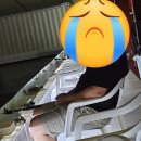 기안실내바다낚시터 | ( 화성 / 기안동 ) 기안 실내바다낚시터