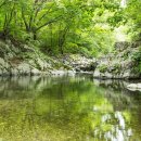 흥정계곡캠핑700 이미지