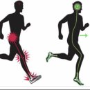 바카티오 이미지