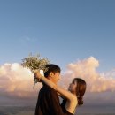 빛이나개 | 사계절 셀프 웨딩스냅 촬영 사진 완성 후기