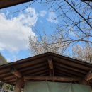 천사봉 오토 캠핑장 이미지