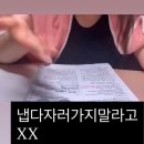 있지피씨 | 토마토가있었슨