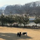 고고독 이미지