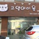 이쁘냥 고양이미용실 서대문점 이미지
