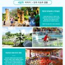 정훈항공여행사 - 구미시 신비로 21 | 정훈항공여행사