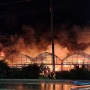 강릉 하우스 이미지