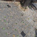 사회복지법인안양복지관(안양의집) 이미지