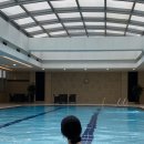 허니퍼니 | 후그 허니베리 모카 로우컷 U 리본타이 back, 퍼니베리 버터 로우컷 U 리본타이 back 수영복 후기