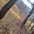 푸른봄공인중개사사무소 이미지