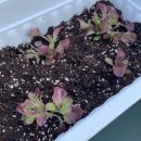 고기친구 이미지