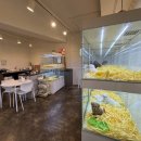 펫퍼스트 24시 강아지분양 고양이분양 파주운정점 이미지