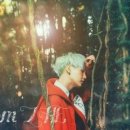 초방 이미지