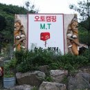 숲속의 빈터 이미지