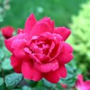 송*욱 - 안양시 동안구 달안로 78 | 송*욱