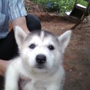 모량농장 이미지