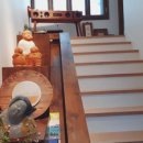 바오밥나무 민박 이미지