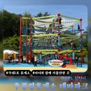 광천민박 | 추풍령 테마파크 가는 법부터 어드벤처 가격 및 실내 놀이시설 이용 후기