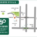 해원 동물병원 | 2년 넘게 괴롭힌 강아지 만성외이염 치료 후기, 강아지 외이염 재발 방지 및 관리[해원동물병원]