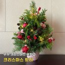 12/4 크리스마스 생화 트리 | [꾸까] 크리스마스 클래스, 크리스마스 요정의 생화 트리 만들기