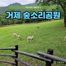 ㈜진성에너지(공원) | 거제 숲소리공원 후기(모노레일, 양떼목장, 도토리 놀이터)