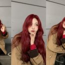 조이 이미지