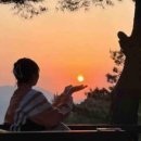 숲의하루 이미지